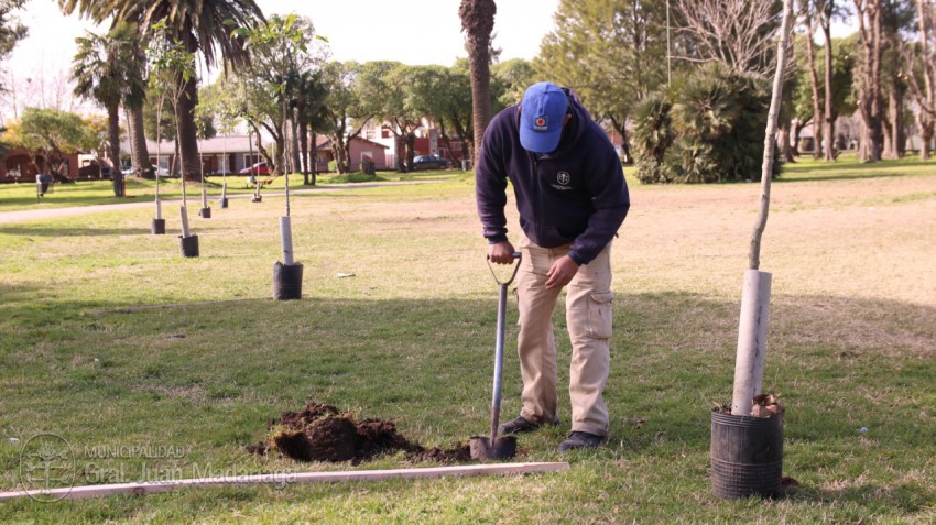 Plantaron 100 especies en el Parque Anchorena