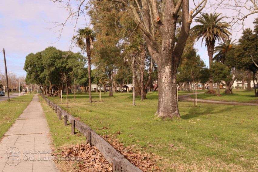 Plantaron 100 especies en el Parque Anchorena