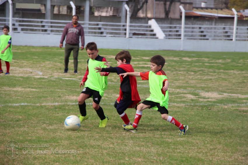 M�s de 450 chicos pasaron por la prueba de talentos de River Plate