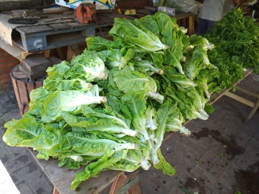 Productores locales vendieron más de 100 bolsas de verduras  al munici