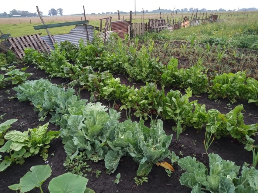 Productores locales vendieron más de 100 bolsas de verduras  al munici