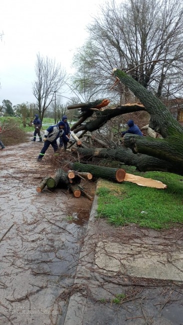 Defensa Civil y Bomberos realizaron ms de 160 intervenciones por el f