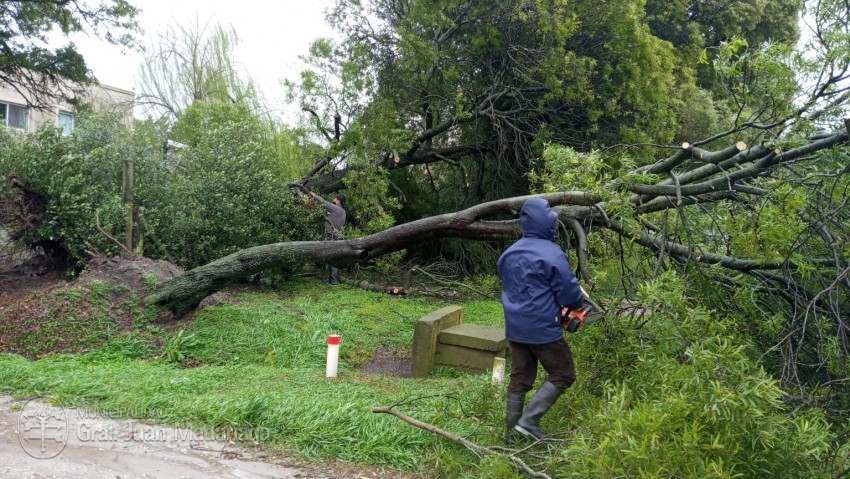 Personal municipal intensifica su trabajo