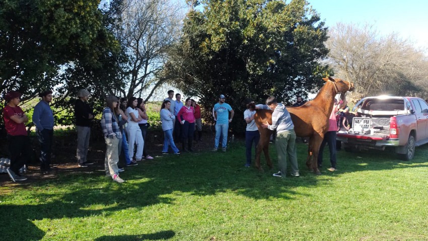 Comenz un nuevo curso de petiseros