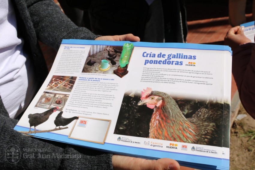 Son  50 las familias que se inscribieron para recibir las pollitas pon