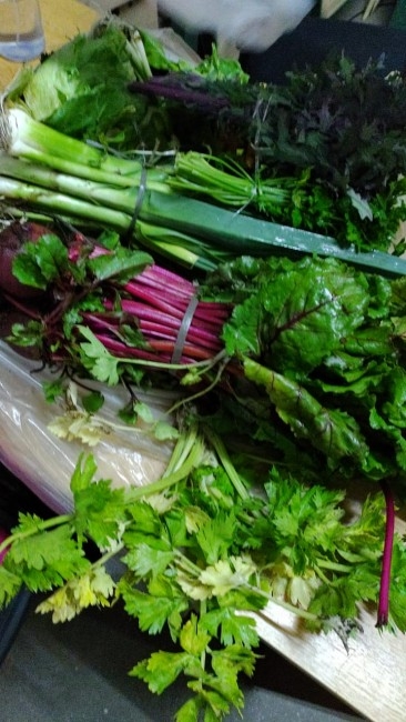 Hoy se har la entrega de los alimentos del programa Diabticos