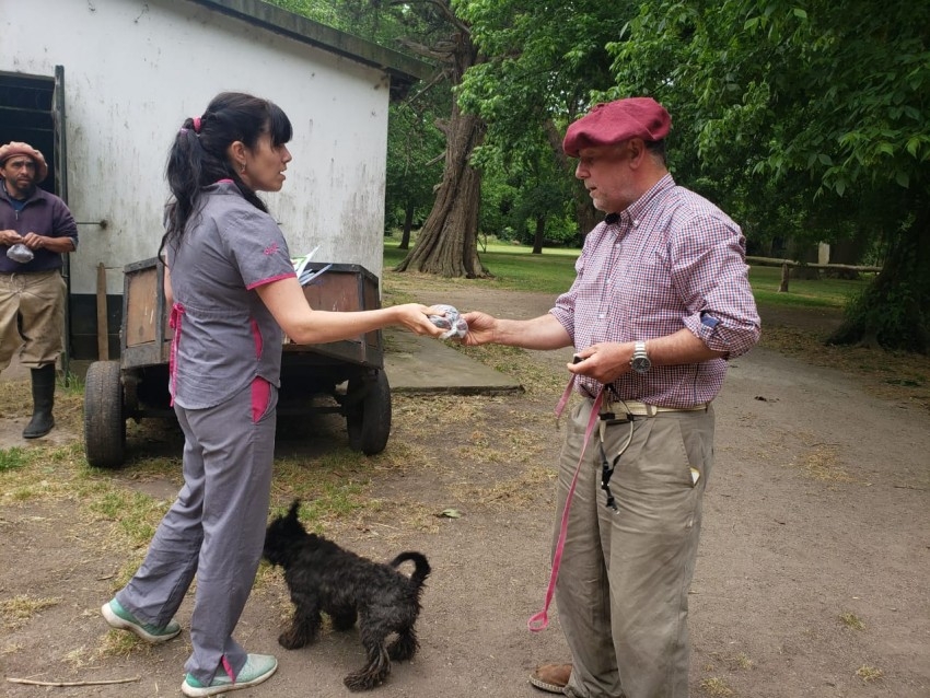 Culmin la campaa masiva de vacunacin antirrbica con un nuevo rcor