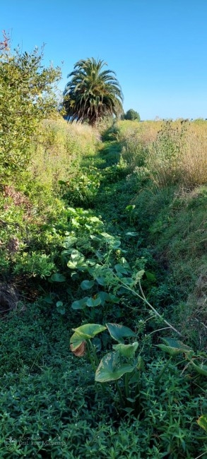 Contina la limpieza de los canales a cielo abierto