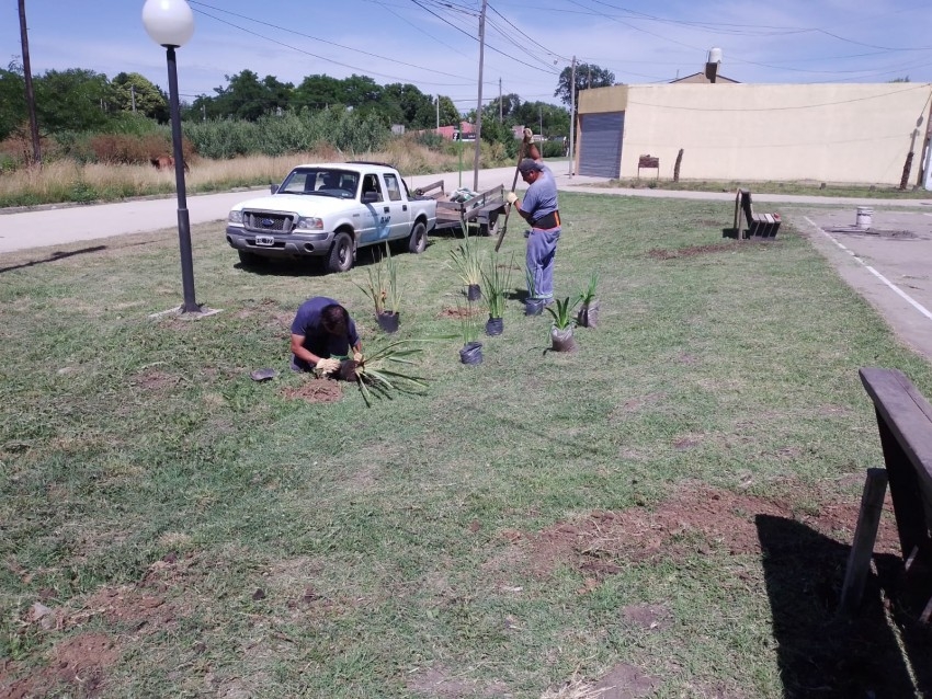 Arduas y diversas tareas de la Secretaria de Mantenimiento durante la 