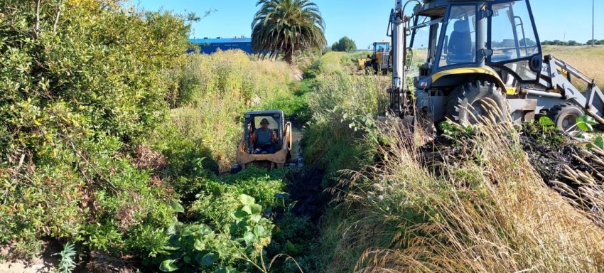 Arduas y diversas tareas de la Secretaria de Mantenimiento durante la 