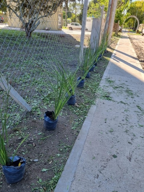 Ultiman detalles para la inauguración de la cisterna