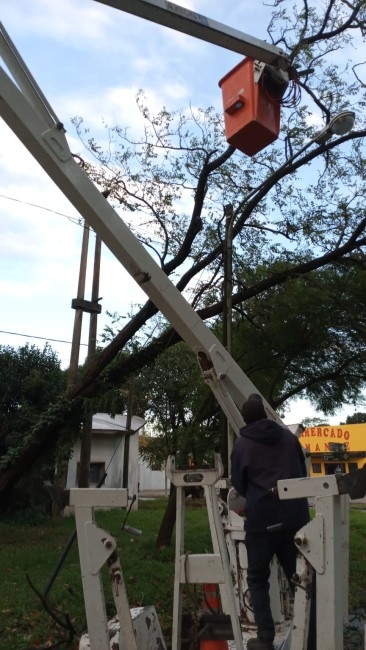 Personal municipal trabaja para dar solucin a los inconvenientes que 