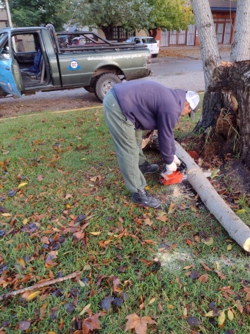 Personal municipal trabaja para dar solucin a los inconvenientes que 
