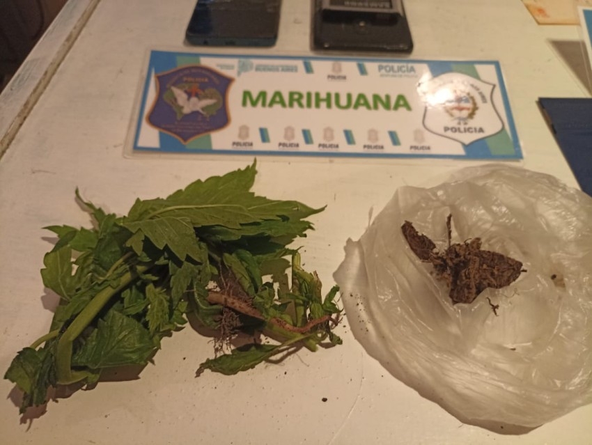Allanamientos positivos por droga y aprehensión de un sujeto