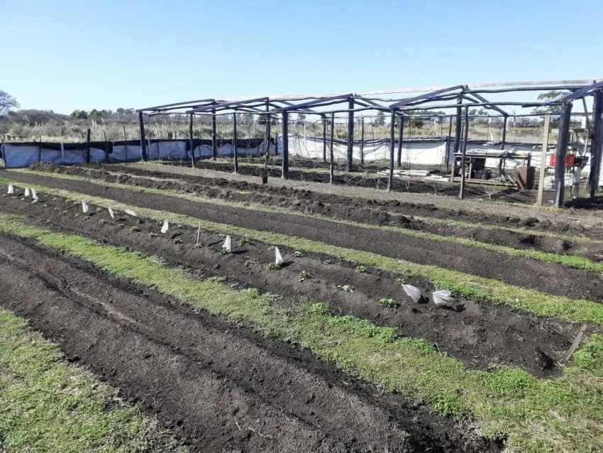 Tres aos de trabajo, esfuerzo y perseverancia