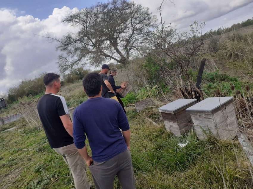 Tres aos de trabajo, esfuerzo y perseverancia