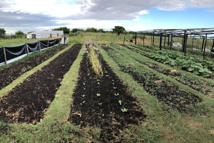 Tres aos de trabajo, esfuerzo y perseverancia