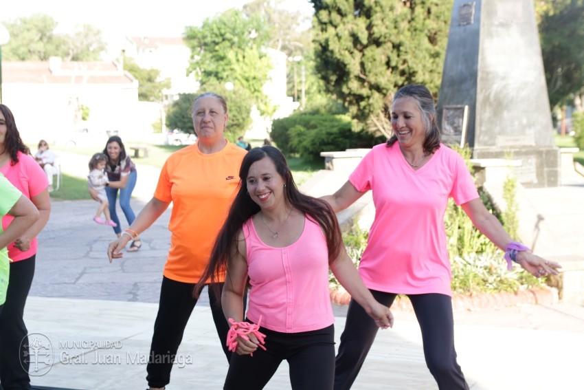 Bellas Artes se exhibi en la plaza San Martn