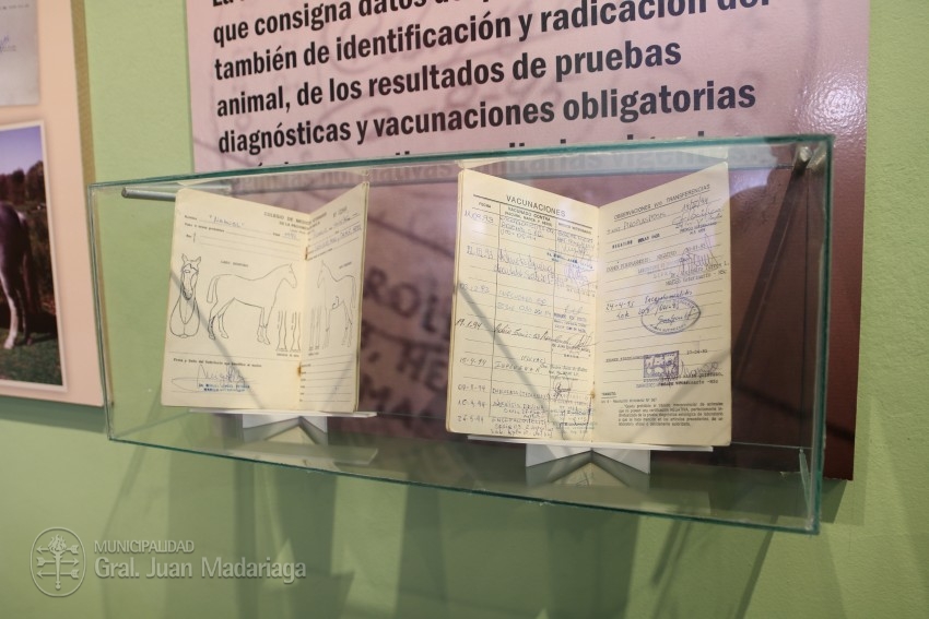 Ms de 70 personas participaron de la inauguracin de la muestra 
