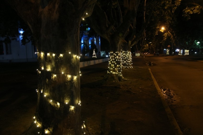 La ciudad se visti de fiesta