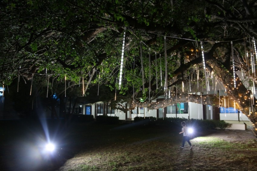 La ciudad se visti de fiesta