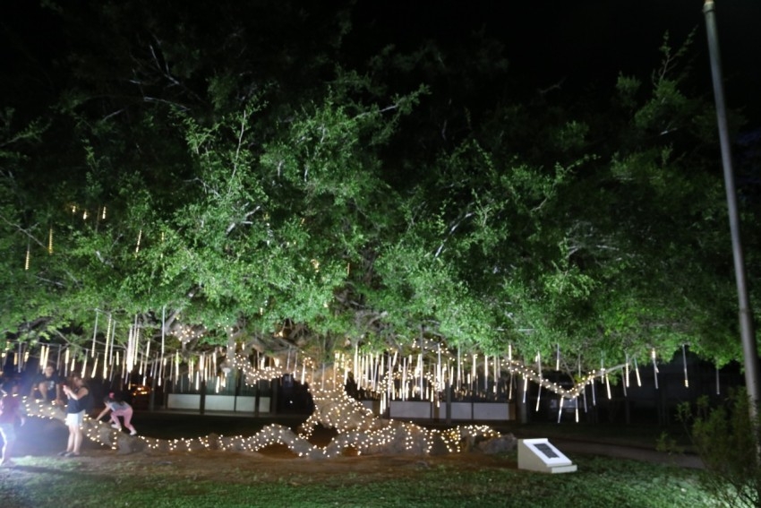 La ciudad se visti de fiesta