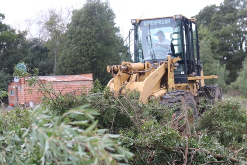 Lotes sociales: Santoro recorri la Quinta 192