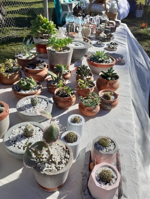 Emprendedoras locales recibieron insumos para incrementar su producci