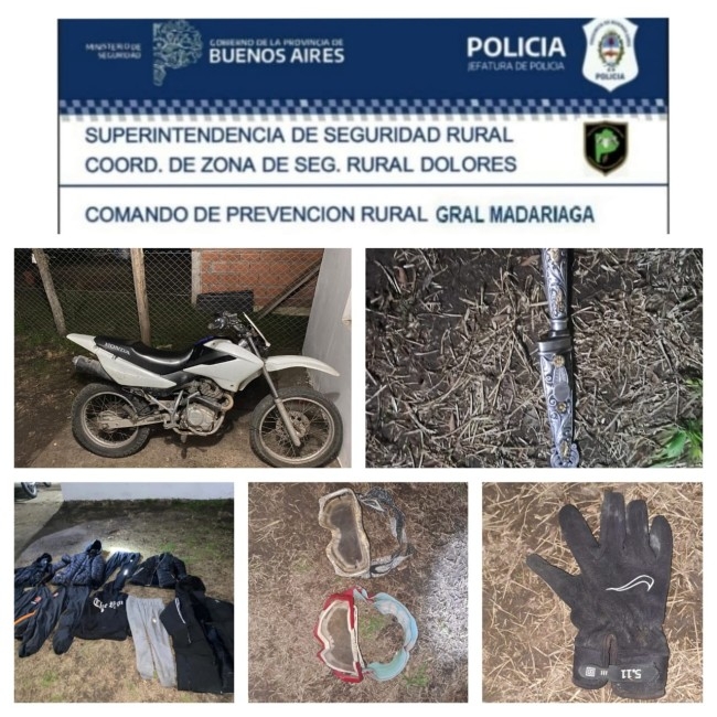 4 allanamientos positivos por el robo en un campo