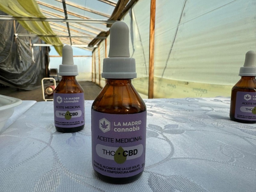 Madariaga particip de una Jornada Provincial de Cannabis Medicinal