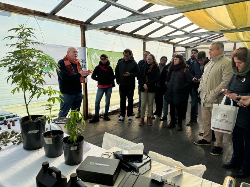 Madariaga particip de una Jornada Provincial de Cannabis Medicinal