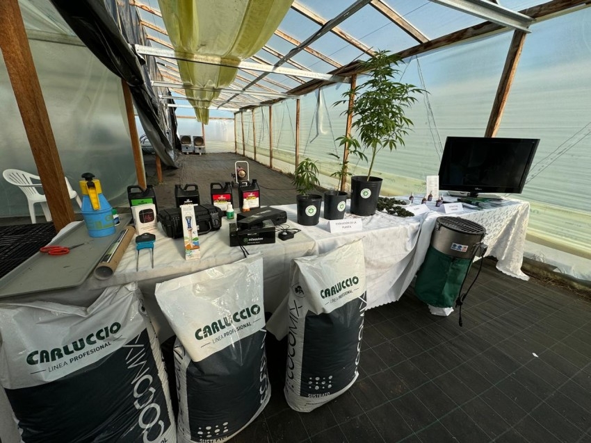 Madariaga particip de una Jornada Provincial de Cannabis Medicinal