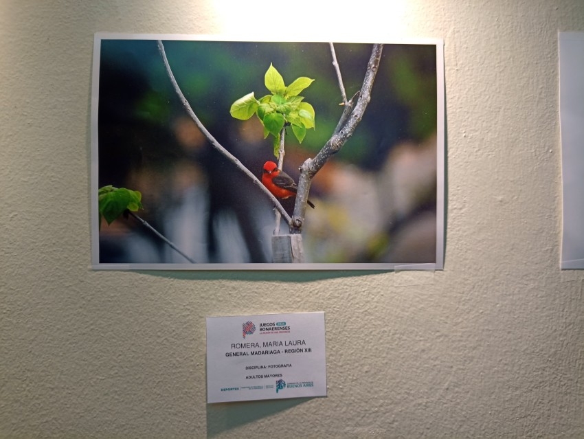 Destacada participacin de madariaguenses en los Juegos Bonaerenses 20