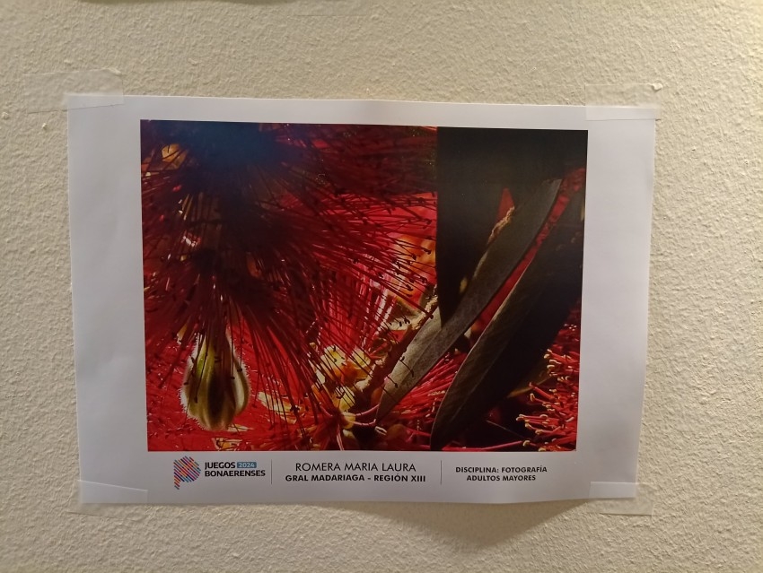 Destacada participacin de madariaguenses en los Juegos Bonaerenses 20