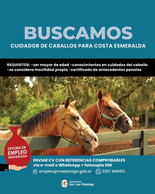 La Oficina de Empleo inform� que hay 13 b�squedas laborales activas ha