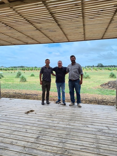 La bodega Gamboa contin�a con sus avances de cara a su apertura