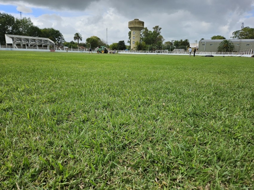 Comenzaron los trabajos  para instalar el riego automatizado del estad