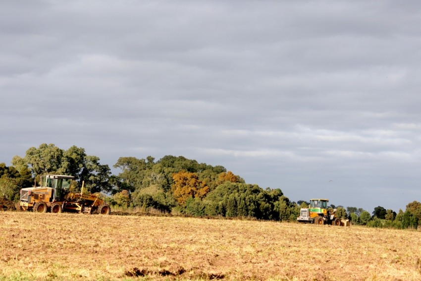 Trabajan en la demarcacin de lotes y arreglo de calles de la Quinta 5
