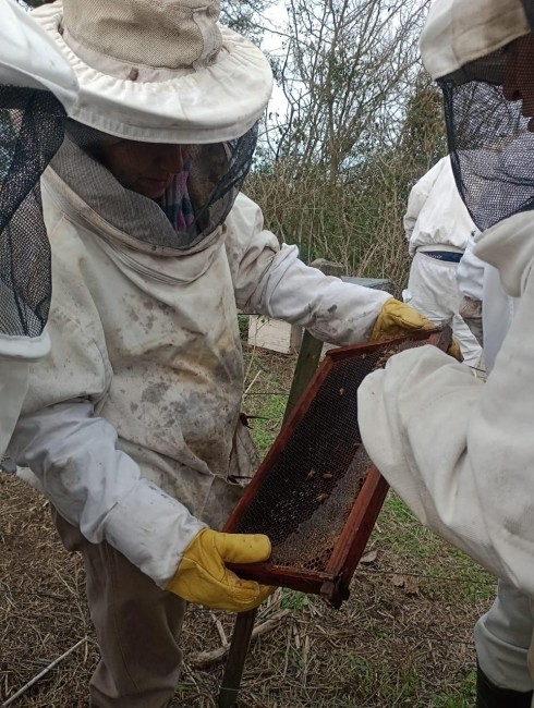 El municipio abri la inscripcin a un nuevo curso gratuito de producc