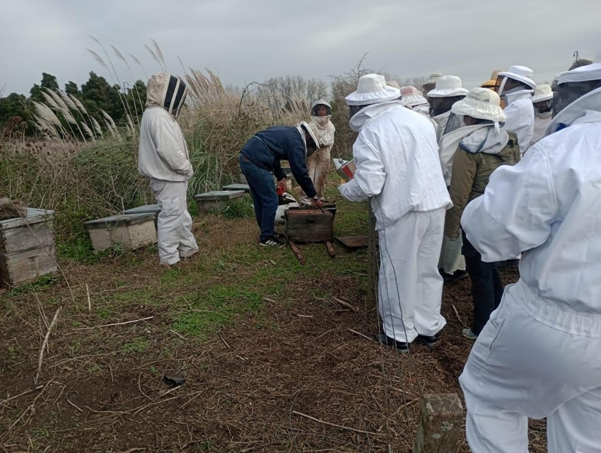 El municipio abri la inscripcin a un nuevo curso gratuito de producc
