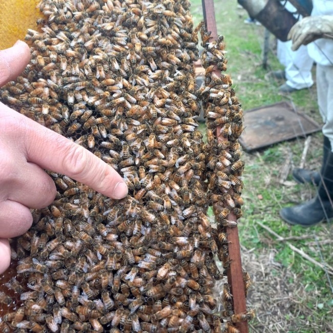 El municipio abri la inscripcin a un nuevo curso gratuito de producc