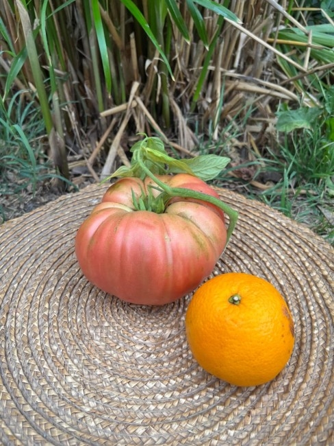 Ilda Etchemaite de Goicoechea fue la ganadora del concurso 