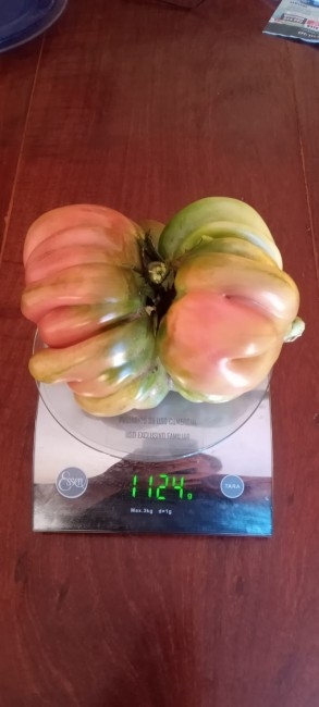 Ilda Etchemaite de Goicoechea fue la ganadora del concurso 