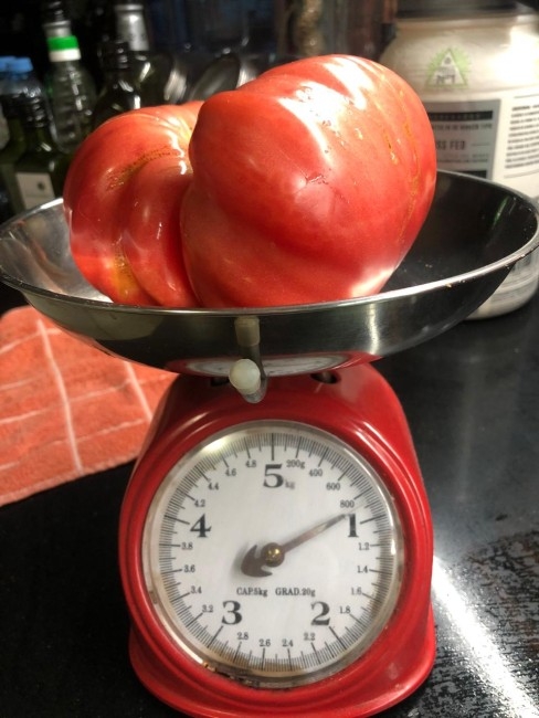 Ilda Etchemaite de Goicoechea fue la ganadora del concurso 