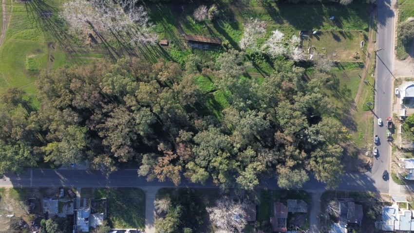 Se trabaja en la culminacin de la obra de la Avenida Alem