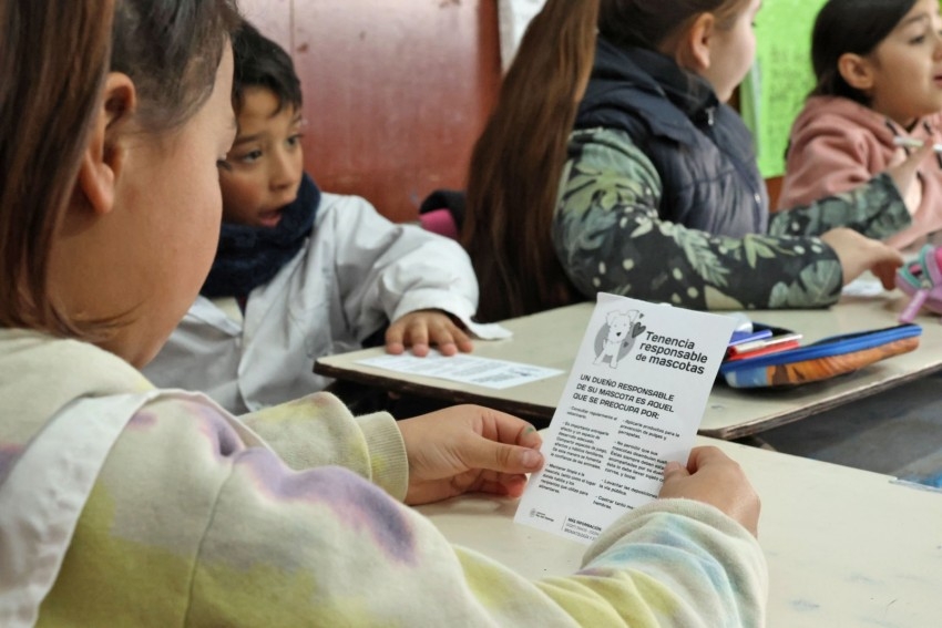 Con juegos y actividades recreativas los nios aprenden de Tenencia Re