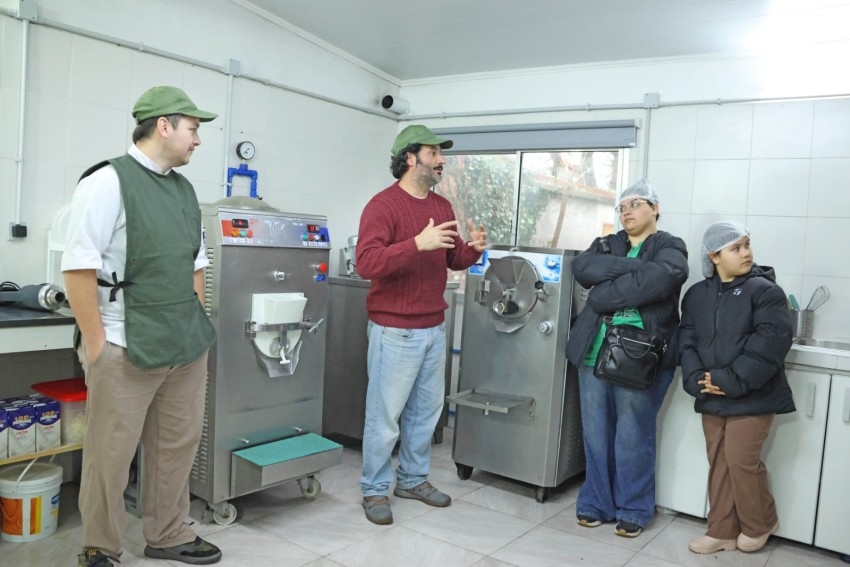 Tala, una heladería con productos artesanales, de temporada y naturale