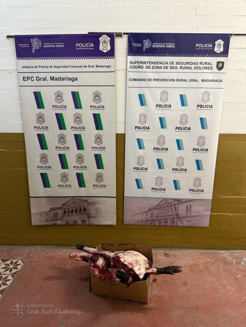 Dos aprehendidos en Madariaga por un robo agravado en Pinamar