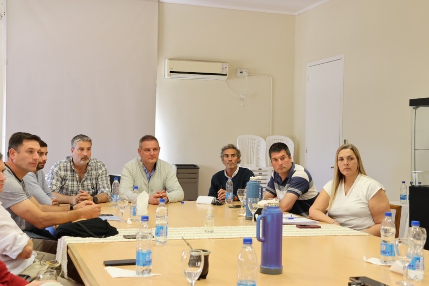 Madariaga a la vanguardia de las energas renovables