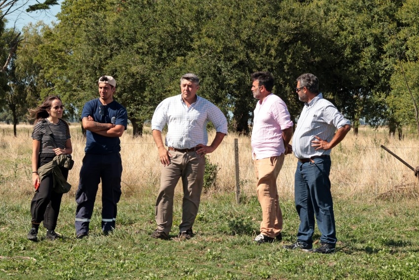 Alianza estrat�gica: La bodega Gamboa apuesta por el 